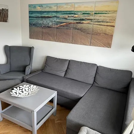 Alpenstrandlaeufer *