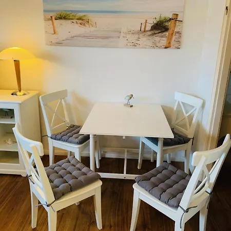 Alpenstrandlaeufer * Westerland