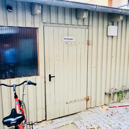 Daire Alpenstrandlaeufer